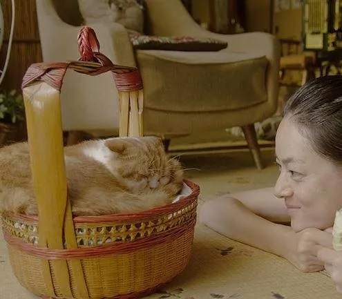 Кошка напрокат (2012) через торрент скачать Кошка напрокат (2012) фильм через торрент скачать