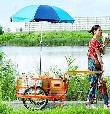 Кошка напрокат (2012) через торрент бесплатно Кошка напрокат (2012) фильм через торрент бесплатно