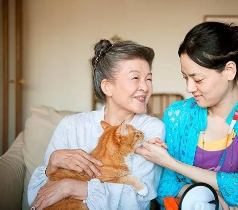 Кошка напрокат (2012) в хорошем качестве через торрент Кошка напрокат (2012) фильм в хорошем качестве через торрент