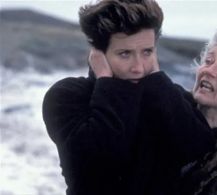 Зимний гость (1997) через торрент скачать Зимний гость (1997) фильм через торрент скачать