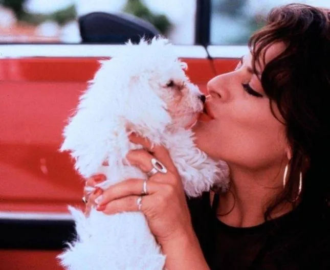 Золотые яйца (1993) в хорошем качестве через торрент Золотые яйца (1993) фильм в хорошем качестве через торрент