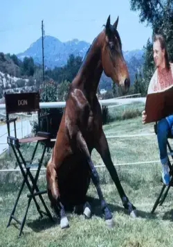 Удачное наследство (1988) через торрент скачать Удачное наследство (1988) фильм через торрент скачать