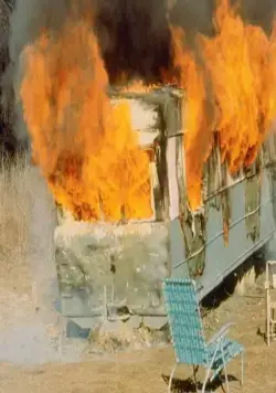 Розовые фламинго (1972) в хорошем качестве через торрент Розовые фламинго (1972) фильм в хорошем качестве через торрент