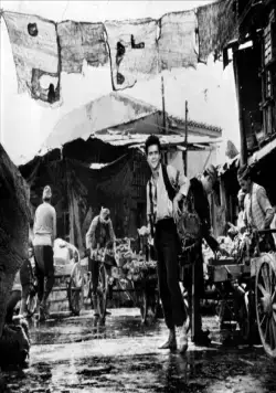 Америка, Америка (1963) через торрент скачать Америка, Америка (1963) фильм через торрент скачать