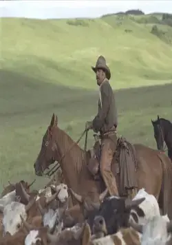 Открытый простор (2003) через торрент бесплатно Открытый простор (2003) фильм через торрент бесплатно