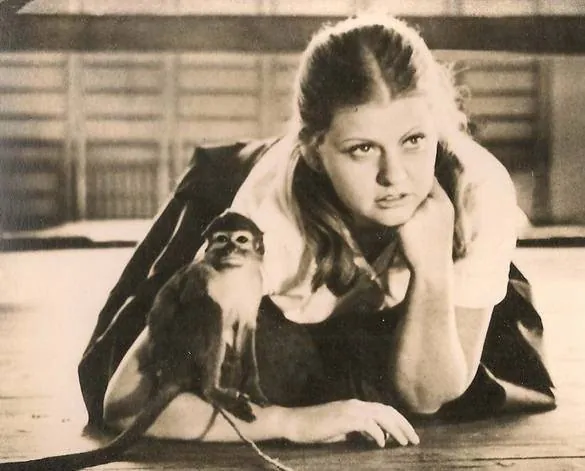 Руки вверх! (1981) через торрент скачать Руки вверх! (1981) фильм через торрент скачать