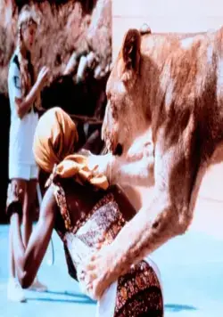 Грубая жатва (1981) в хорошем качестве через торрент Грубая жатва (1981) фильм в хорошем качестве через торрент