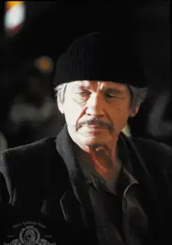 Жажда смерти 2 (1981) через торрент скачать Жажда смерти 2 (1981) фильм через торрент скачать