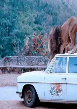 Грубая жатва (1981) через торрент бесплатно Грубая жатва (1981) фильм через торрент бесплатно