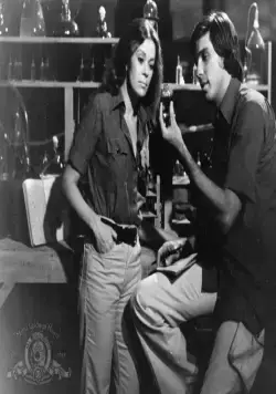 Суперзверь (1972) через торрент скачать Суперзверь (1972) фильм через торрент скачать