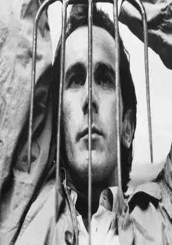 Сингапурский Слинг (1990) через торрент скачать Сингапурский Слинг (1990) фильм через торрент скачать