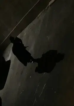 Странная история доктора Джекилла и мистера Хайда (2006) в хорошем качестве через торрент Странная история доктора Джекилла и мистера Хайда (2006) фильм в хорошем качестве через торрент