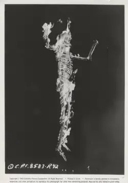 13 призраков (1960) в хорошем качестве через торрент 13 призраков (1960) фильм в хорошем качестве через торрент