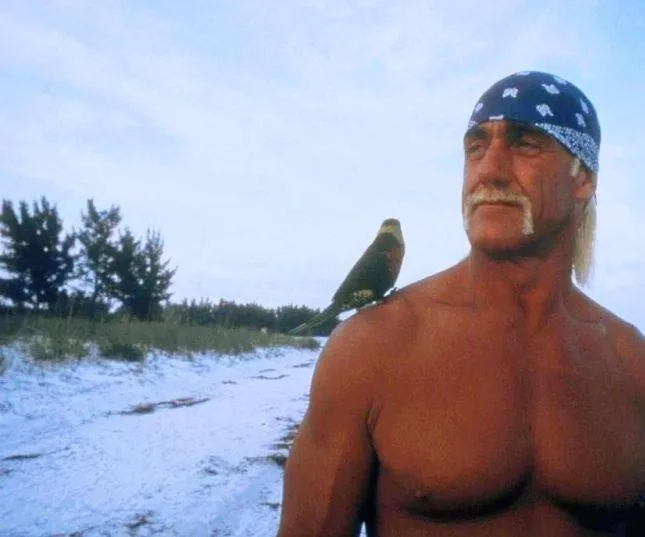 Остров МакКинси (1998) через торрент скачать Остров МакКинси (1998) фильм через торрент скачать