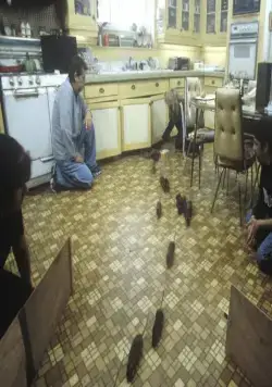 Уиллард (2003) в хорошем качестве через торрент Уиллард (2003) фильм в хорошем качестве через торрент