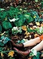 Биби — маленькая волшебница (2002) через торрент скачать Биби — маленькая волшебница (2002) фильм через торрент скачать