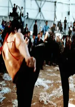 Леди дракон (1992) через торрент скачать Леди дракон (1992) фильм через торрент скачать