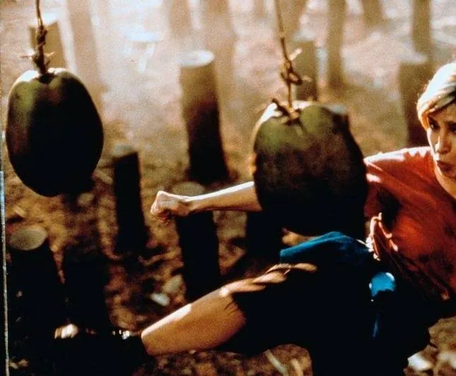 Леди дракон (1992) в хорошем качестве через торрент Леди дракон (1992) фильм в хорошем качестве через торрент