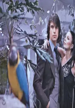 Жеребец (1978) через торрент бесплатно Жеребец (1978) фильм через торрент бесплатно