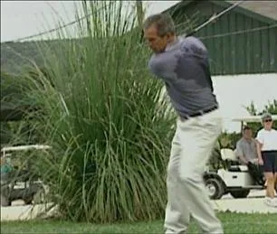 Фаренгейт 9/11 (2004) через торрент скачать Фаренгейт 9/11 (2004) фильм через торрент скачать