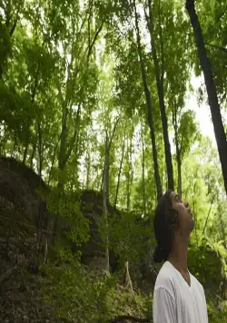 Зеленый дельфин (2019) через торрент бесплатно Зеленый дельфин (2019) фильм через торрент бесплатно