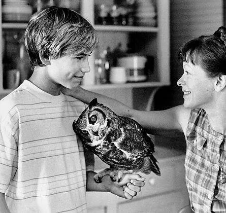 Дикая Америка (1997) через торрент скачать Дикая Америка (1997) фильм через торрент скачать