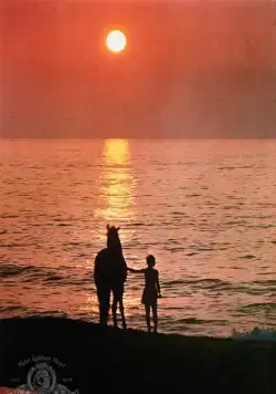 Черный скакун (1979) через торрент бесплатно Черный скакун (1979) фильм через торрент бесплатно