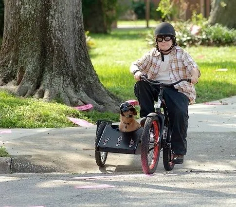 Эйс Вентура младший (2009) через торрент бесплатно Эйс Вентура младший (2009) фильм через торрент бесплатно