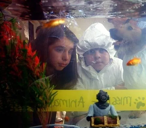 Эйс Вентура младший (2009) в хорошем качестве через торрент Эйс Вентура младший (2009) фильм в хорошем качестве через торрент