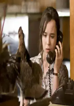 Пикок (2009) через торрент бесплатно Пикок (2009) фильм через торрент бесплатно