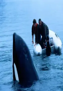 Освободите Вилли 3: Спасение (1997) через торрент скачать Освободите Вилли 3: Спасение (1997) фильм через торрент скачать