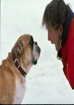 Лыжный патруль (1990) через торрент скачать Лыжный патруль (1990) фильм через торрент скачать