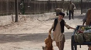 Бегущий за ветром (2007) в хорошем качестве через торрент Бегущий за ветром (2007) фильм в хорошем качестве через торрент