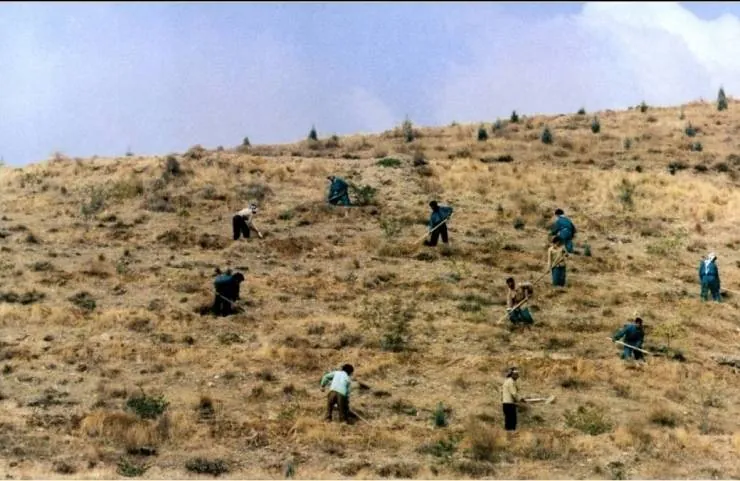 Вкус вишни (1997) через торрент бесплатно Вкус вишни (1997) фильм через торрент бесплатно