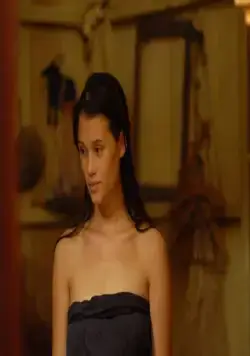 Плотина против Тихого океана (2008) через торрент бесплатно Плотина против Тихого океана (2008) фильм через торрент бесплатно