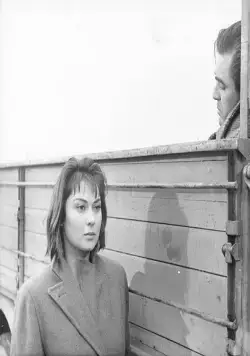 Крик (1957) через торрент бесплатно Крик (1957) фильм через торрент бесплатно