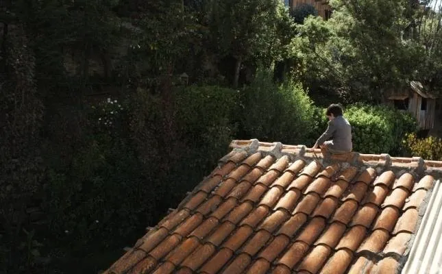 Южная зона (2009) через торрент скачать Южная зона (2009) фильм через торрент скачать