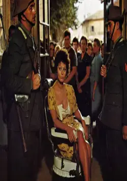 Подсолнухи (1970) в хорошем качестве через торрент Подсолнухи (1970) фильм в хорошем качестве через торрент