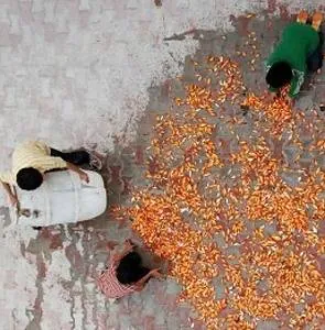 Песня соловьев (2008) в хорошем качестве через торрент Песня соловьев (2008) фильм в хорошем качестве через торрент