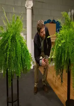 Между двумя папоротниками (2019) через торрент скачать Между двумя папоротниками (2019) фильм через торрент скачать