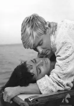 Нож в воде (1962) через торрент скачать Нож в воде (1962) фильм через торрент скачать