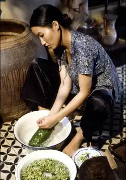 Аромат зелёной папайи (1993) в хорошем качестве через торрент Аромат зелёной папайи (1993) фильм в хорошем качестве через торрент