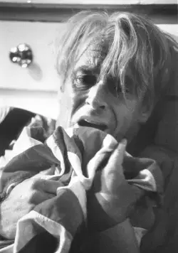 Истории квартала (1995) через торрент скачать Истории квартала (1995) фильм через торрент скачать