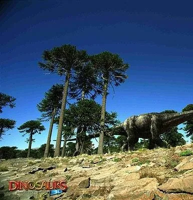 Динозавры Патагонии 3D (2007) через торрент скачать Динозавры Патагонии 3D (2007) фильм через торрент скачать