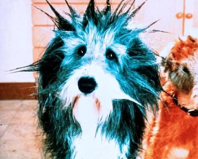 Эркюль и Шерлок против мафии (1996) через торрент бесплатно Эркюль и Шерлок против мафии (1996) фильм через торрент бесплатно