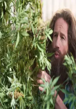 Козы (2012) через торрент скачать Козы (2012) фильм через торрент скачать