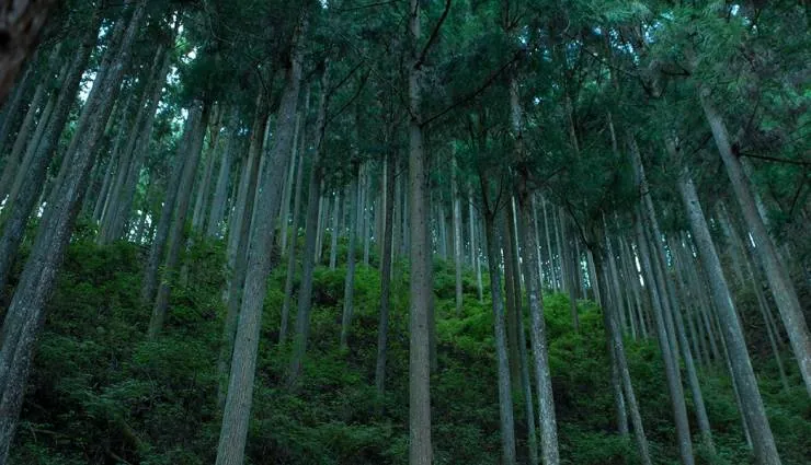 Видение (2018) через торрент бесплатно Видение (2018) фильм через торрент бесплатно