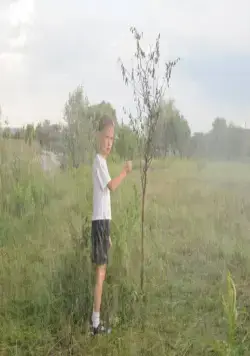 Земля забвения (2011) через торрент бесплатно Земля забвения (2011) фильм через торрент бесплатно