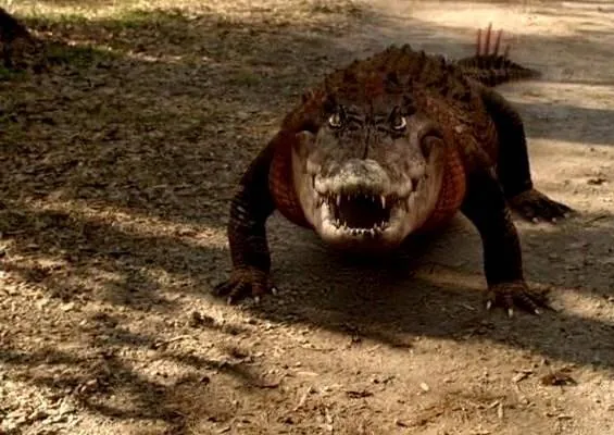 Земля аллигаторов (2013) в хорошем качестве через торрент Земля аллигаторов (2013) фильм в хорошем качестве через торрент