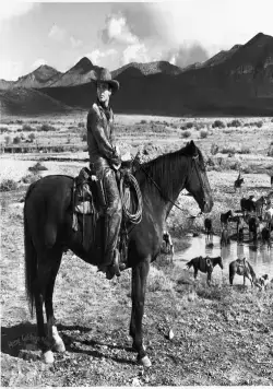 Красная река (1948) через торрент скачать Красная река (1948) фильм через торрент скачать